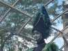 IMG-20230827-WA0005